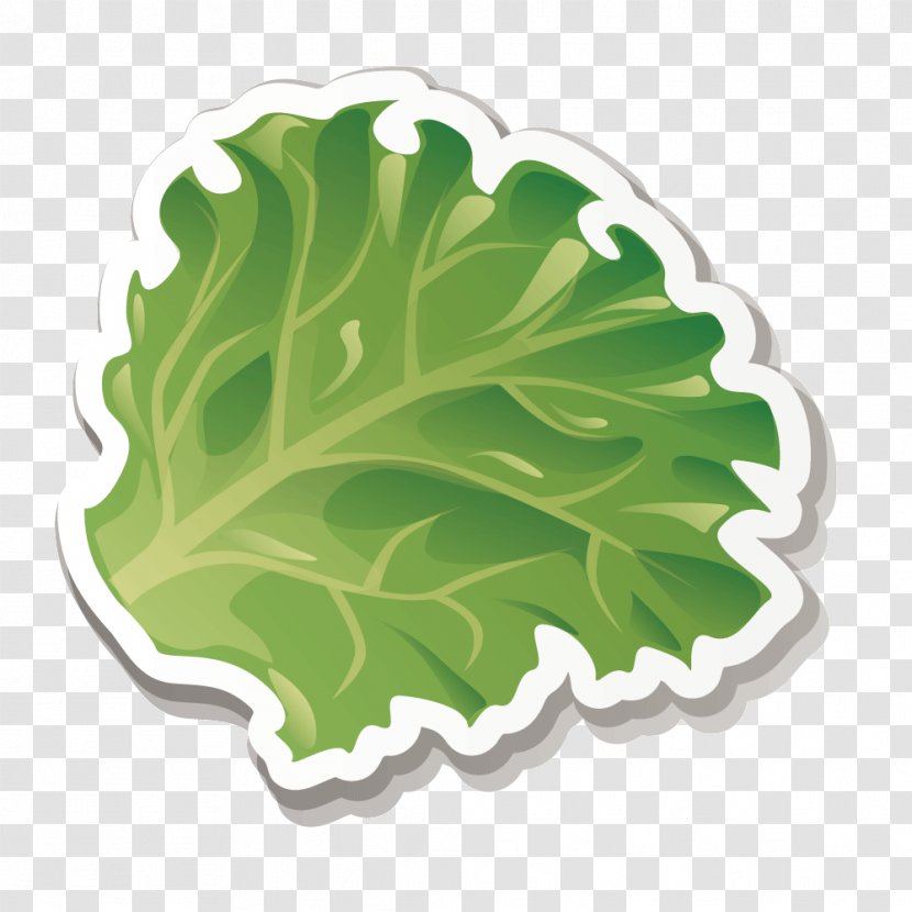 Breakfast Pizza Euclidean Vector Icon - Drink - Fresh Green Lettuce Transparent PNG