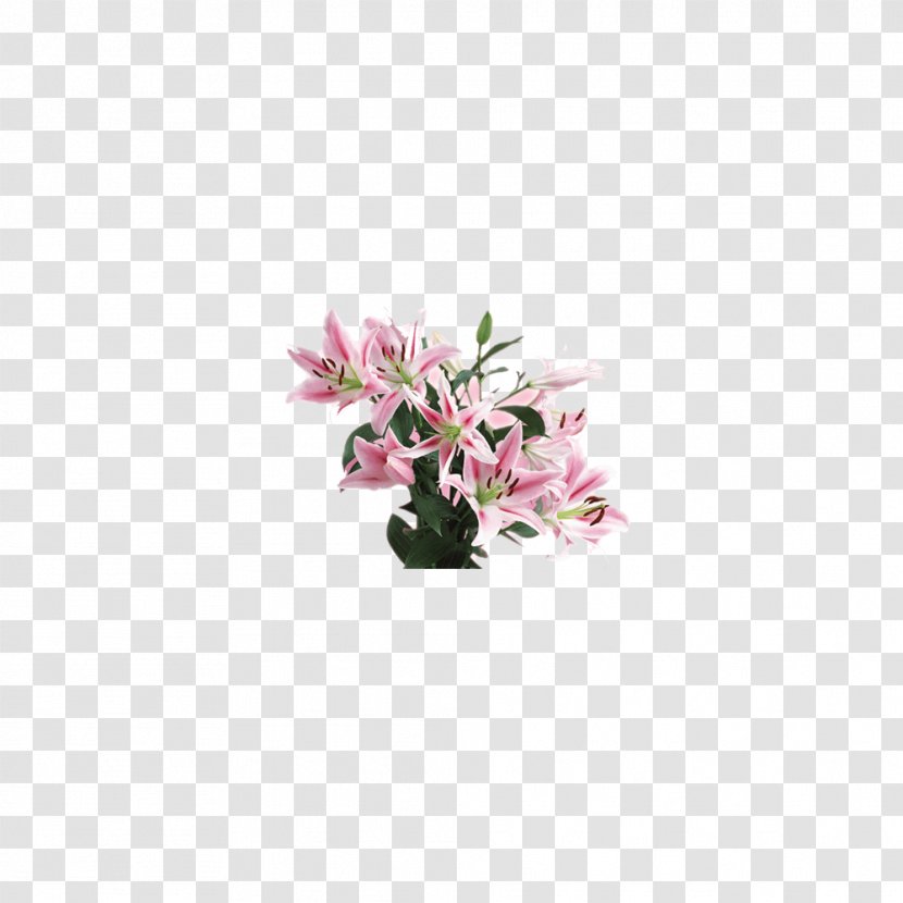 Pink Floral Design Flower Nosegay - Frame - Lily Material Transparent PNG