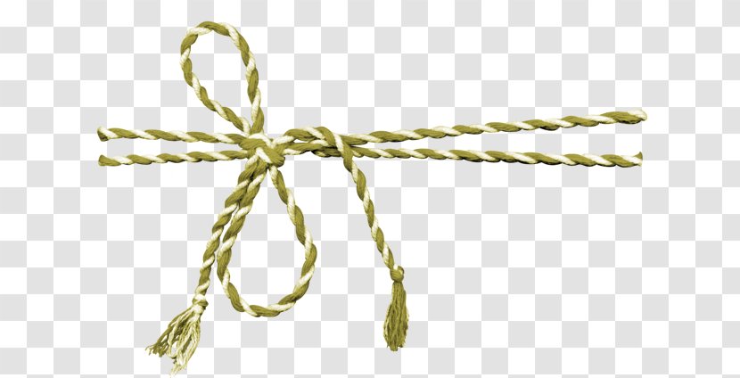 Rope Shoelace Knot Ribbon - Dynamic Transparent PNG