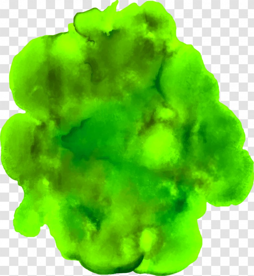 Green Watercolor Painting - Water Color Dizzy Transparent PNG