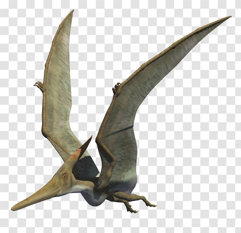 Pteranodon Late Cretaceous Carnivores 2 Velociraptor Therizinosaurus ...