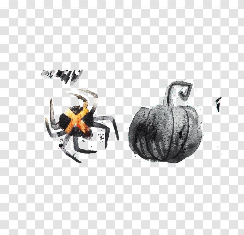 Halloween Jack-o'-lantern Calavera Euclidean Vector - Creative Spider Transparent PNG
