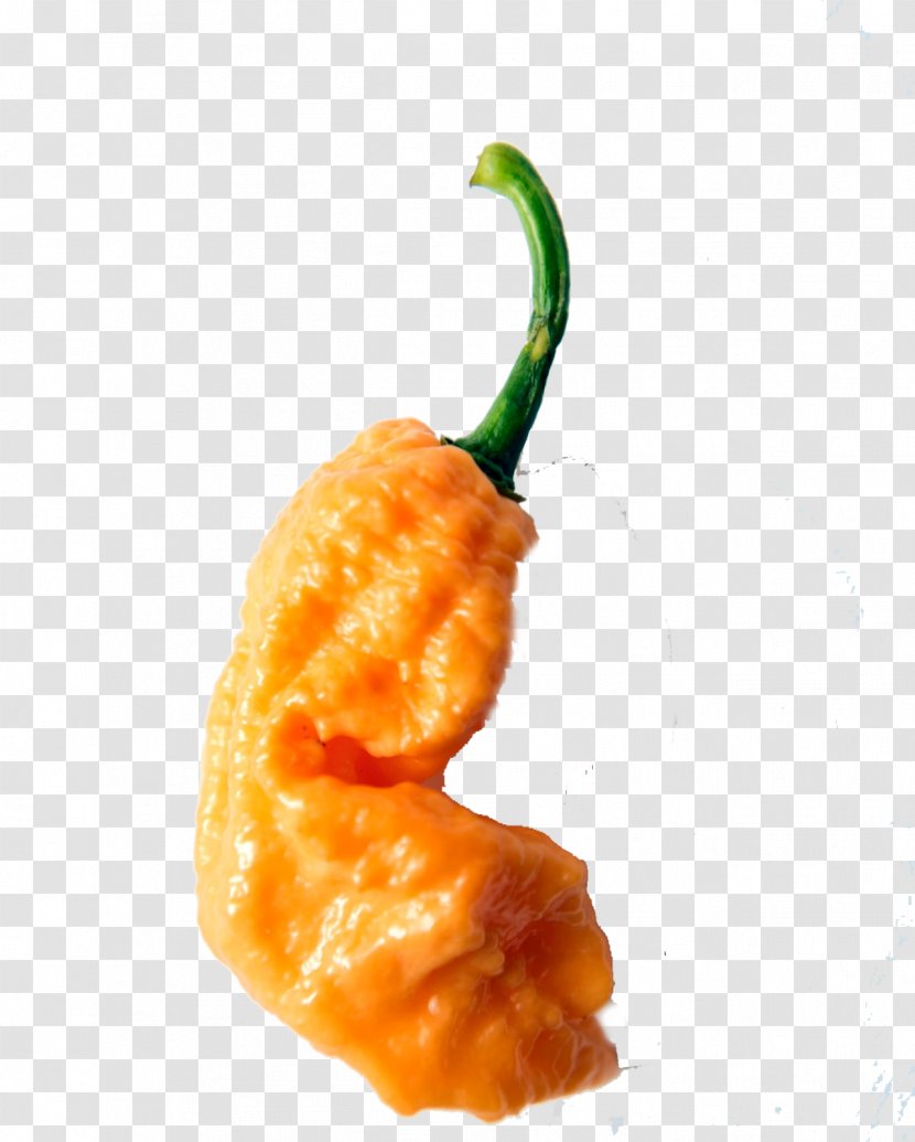 Habanero Bird's Eye Chili Scoville Unit Pepper Carolina Reaper - Orange - Dragon Peppers Scale Transparent PNG