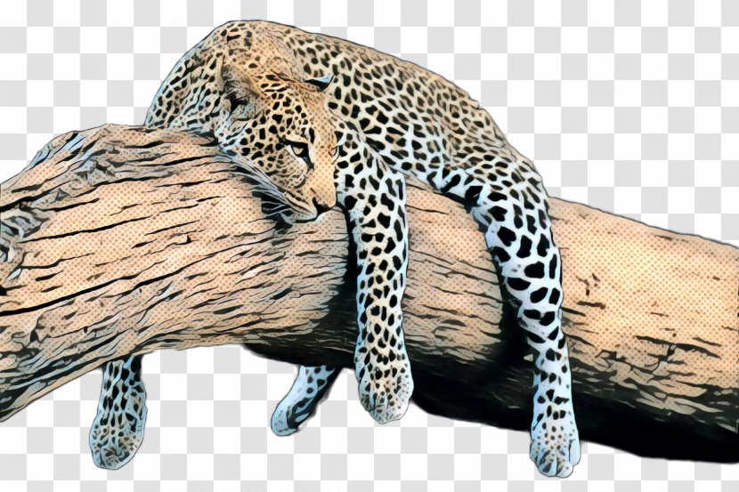 Leopard Cheetah Ocelot Fauna Fur - Jaguar - African Transparent PNG