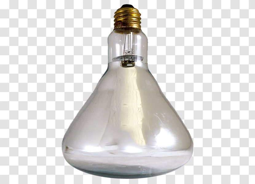 Product Design Light Fixture Ceiling - Pet Heat Lamps Transparent PNG