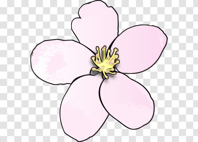 Watercolor Pink Flowers - Wildflower Pedicel Transparent PNG