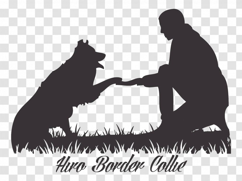 Border Collie Image Video Photography - Whales - Unbox Frame Transparent PNG
