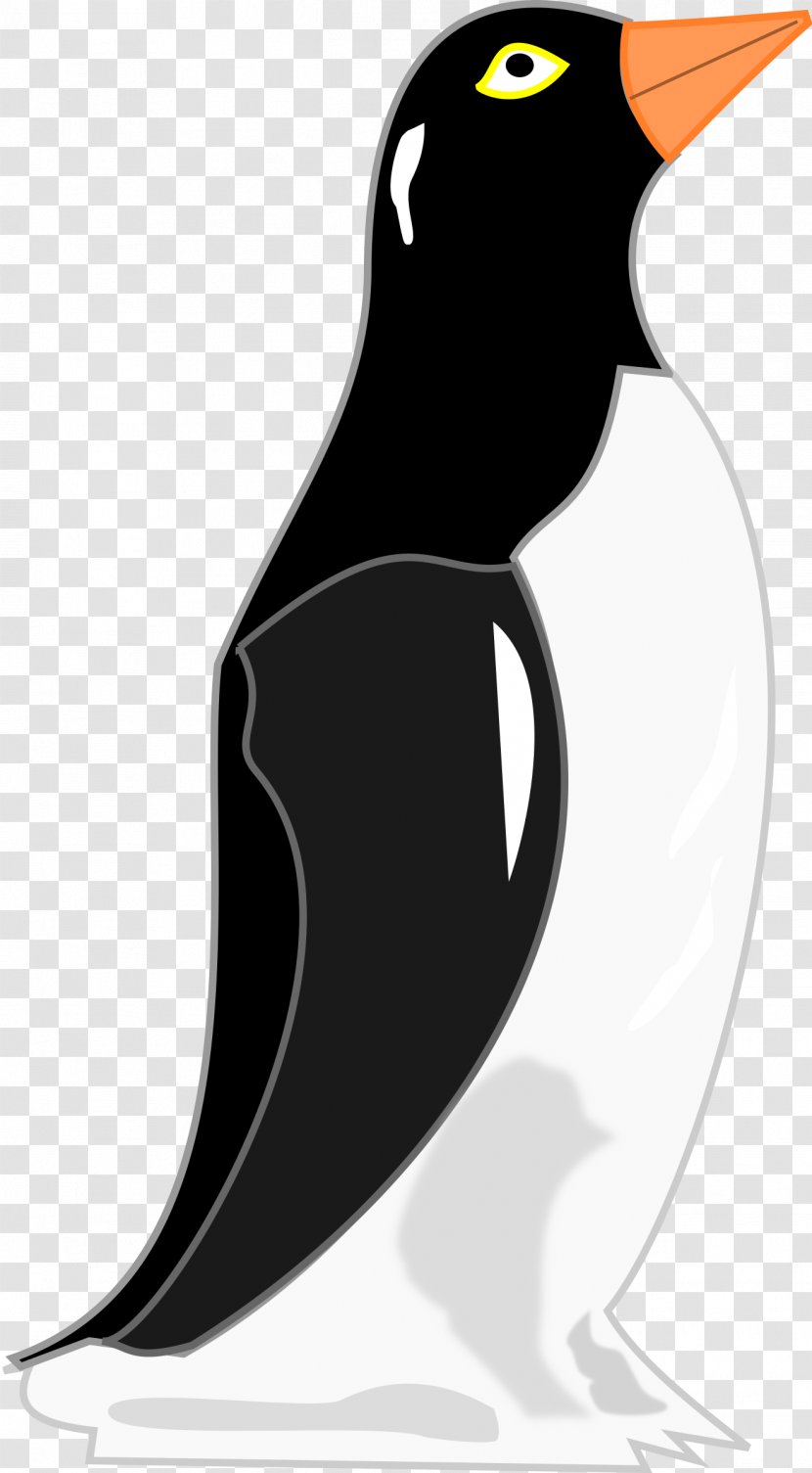 Penguin Refrigerator - Bird - Edge Transparent PNG