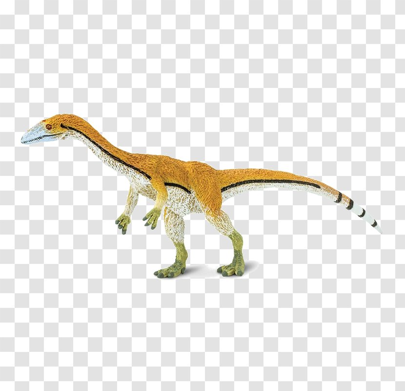 Velociraptor Coelophysis Giganotosaurus Spinosaurus Microraptor - Dinosaur Transparent PNG