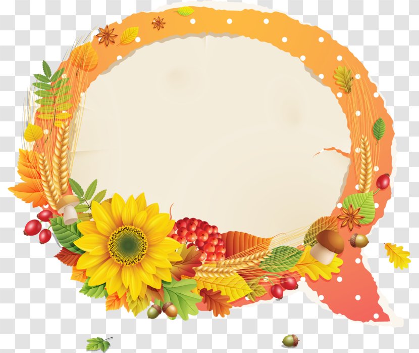 Floral Design Photography Flower - Floristry Transparent PNG