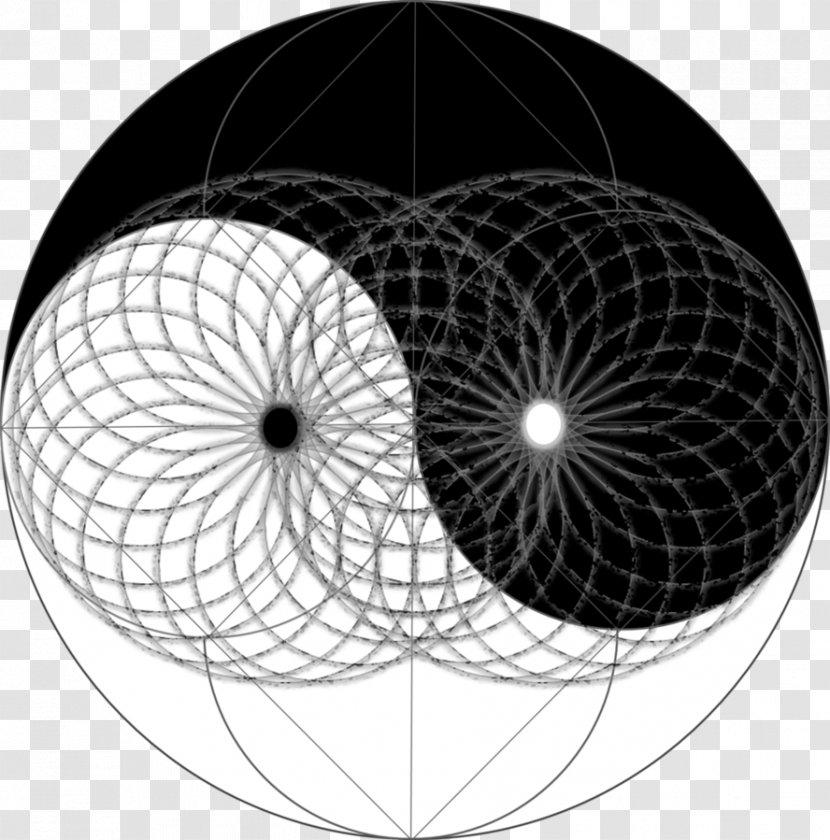 Toroid Sacred Geometry