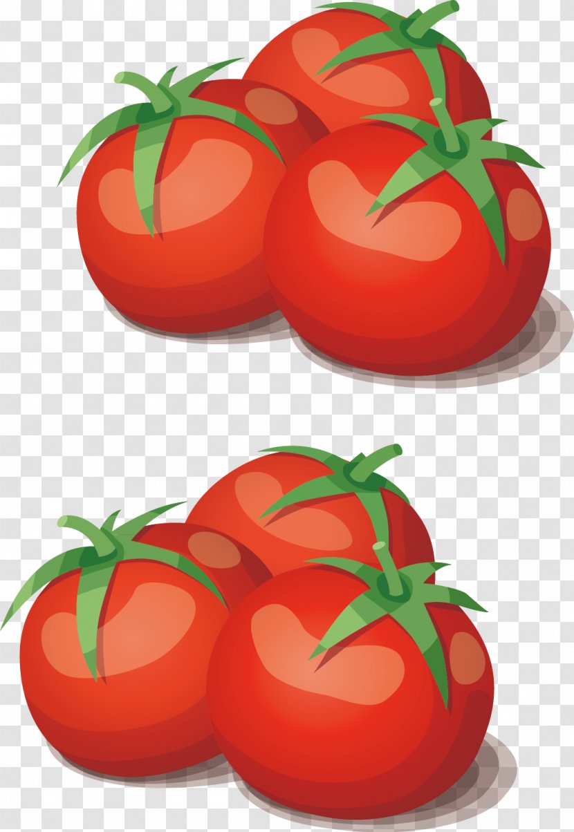 Tomato Vegetable Cooking Food - Ingredient - Tomatoes Combination Transparent PNG