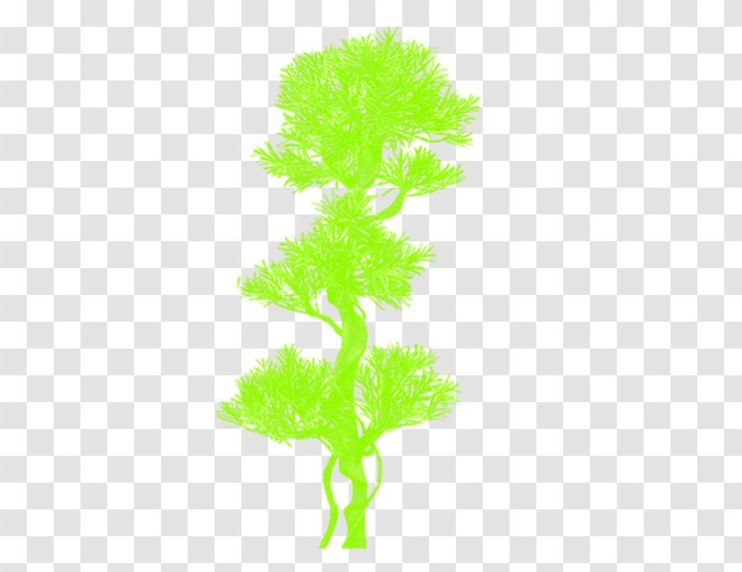 Tree Plant Stem Aquarium - Grass Transparent PNG