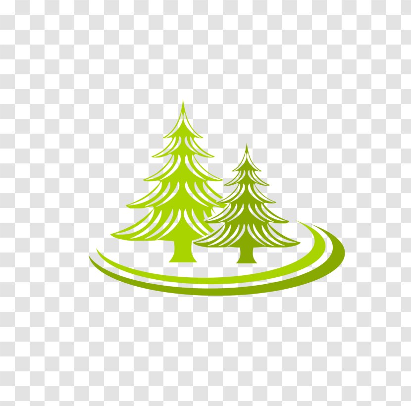 Tree Logo Spruce Fir - Pine Family - Vector Trees Transparent PNG