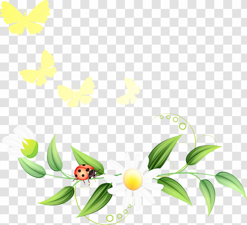 Leaf Plant Flower Branch Transparent PNG