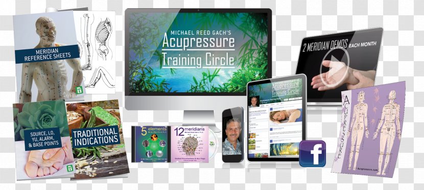 Acupressure Meridian Emotional Freedom Techniques Brand Marketing Transparent PNG