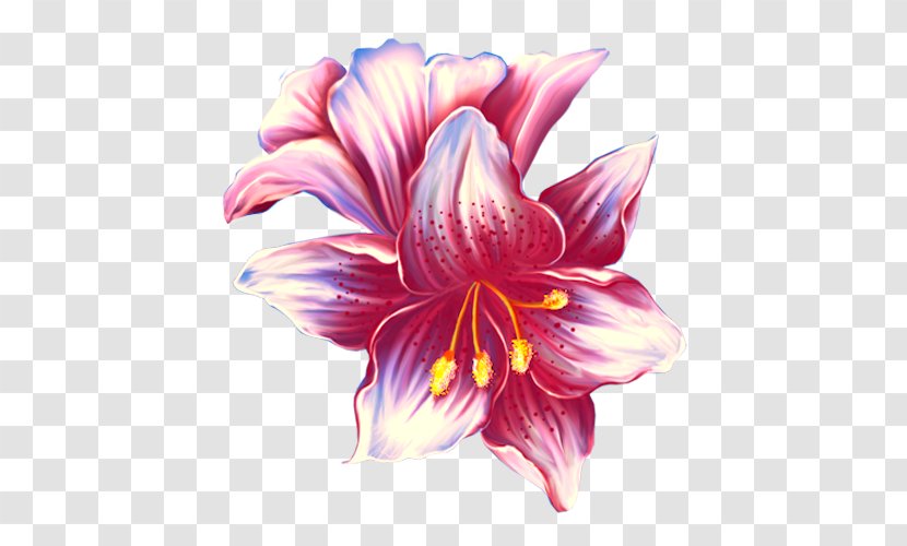 Flower Lilium - Green - Pink Lily Transparent PNG