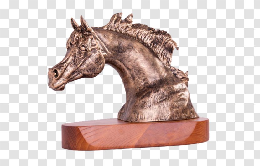 Horse Awards Recognition Concepts Trophy Medal - Stallion Transparent PNG