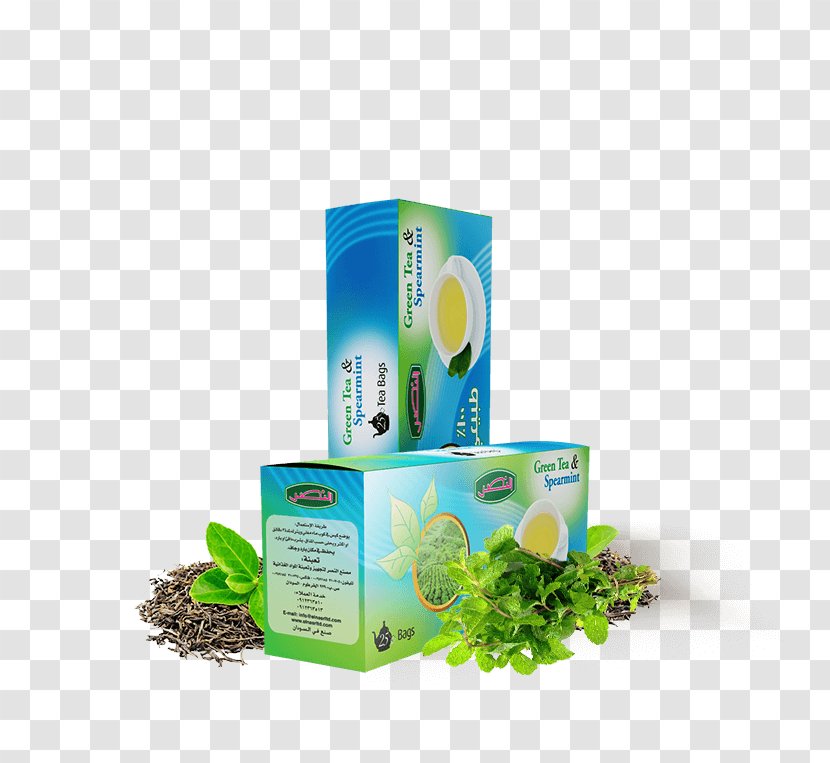 Green Tea Bag Blending And Additives Mentha Spicata Transparent PNG