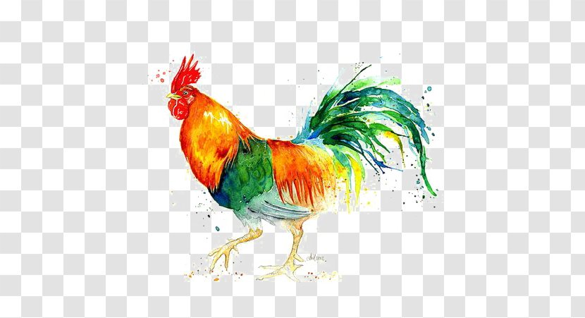 Chicken Painting Rooster Illustration - Phasianidae - Cock Transparent PNG