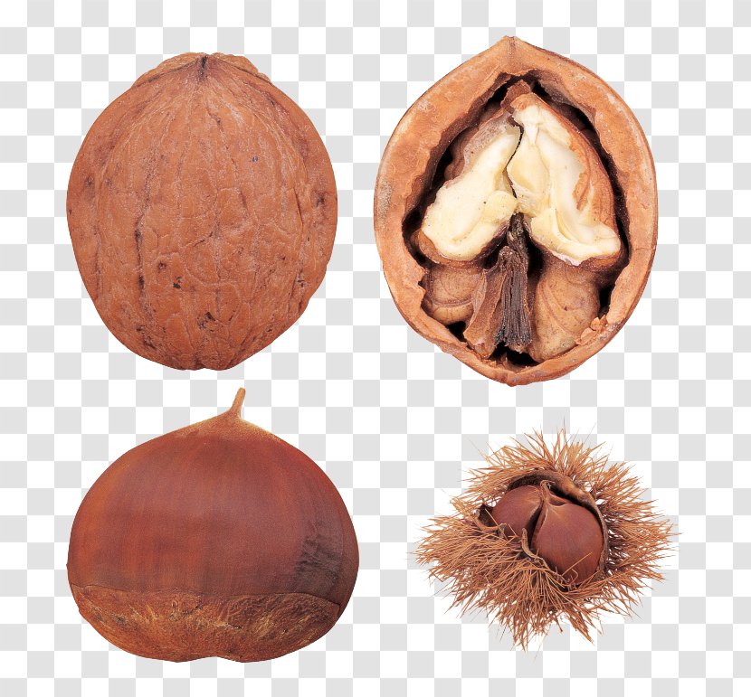 Chinese Chestnut Walnut Peanut - Ingredient - Photos Transparent PNG