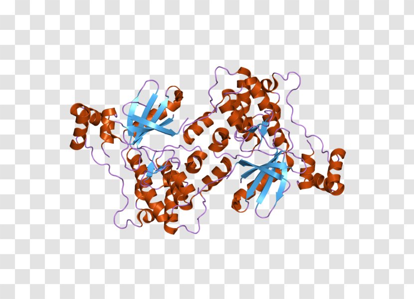MARK2 Serine/threonine-specific Protein Kinase Art Transparent PNG
