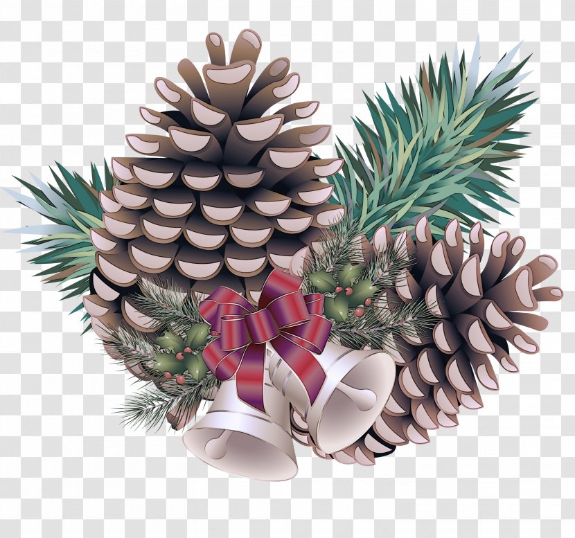 Pineapple - Sitka Spruce - Plant Pine Transparent PNG