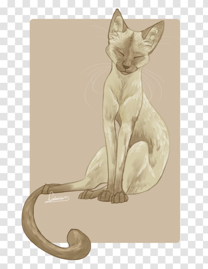 Whiskers Kitten Siamese Cat Sphynx - Carnivoran - Egyptian Mau Transparent PNG