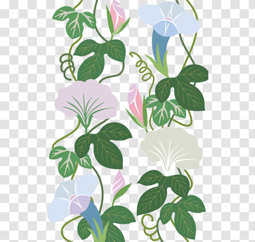 Flower - Frame - Trumpet Vines Shading Material Obscure Transparent PNG