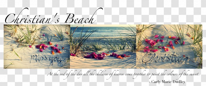 Beach Infant Name Australia Father - Painting - Sunset Transparent PNG