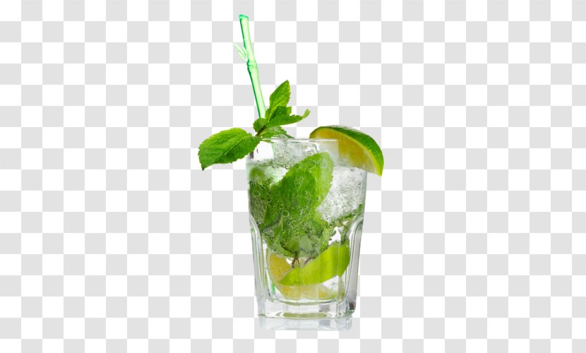 Drinking Straw Cocktail Drink Mixer Distilled Beverage - Lemon Lime Transparent PNG