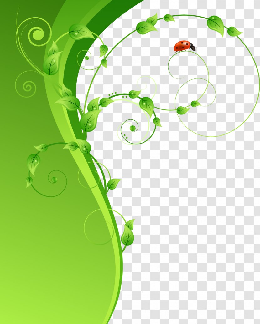 Green Ladybird - Leaf Pattern Transparent PNG
