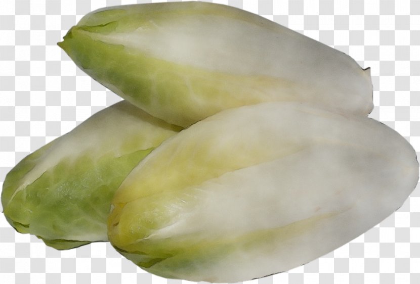 Watercolor Plant - Vegetable - Chayote Food Transparent PNG