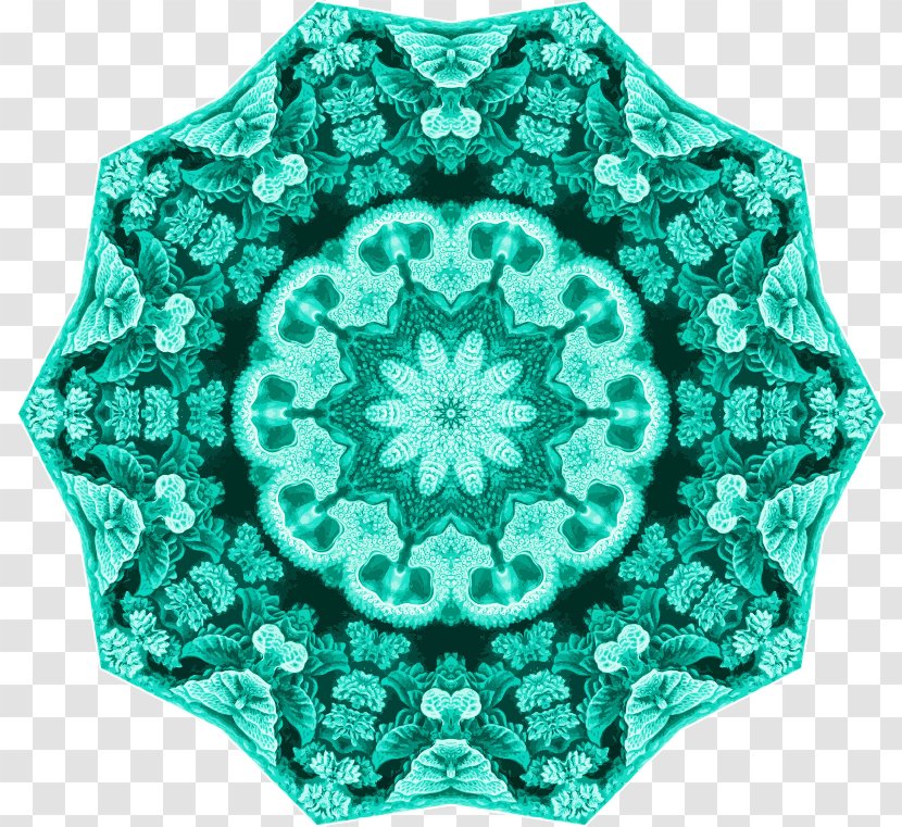 Art Forms In Nature Symmetry Hexacorallia - Ernst Haeckel - Aqua Transparent PNG