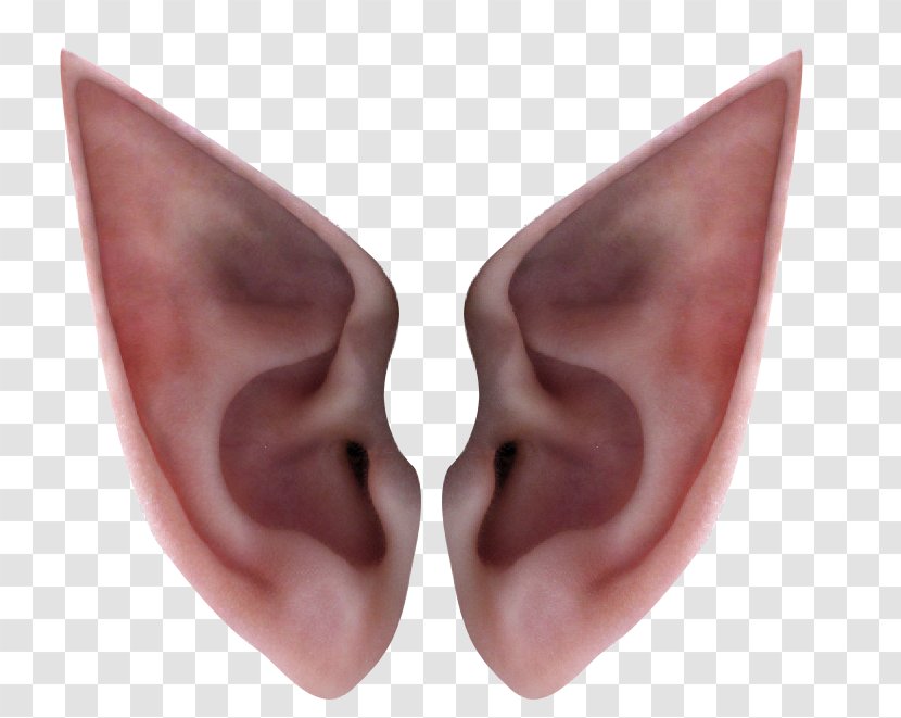 Ear Elf Icon - Frame - Ears Transparent PNG