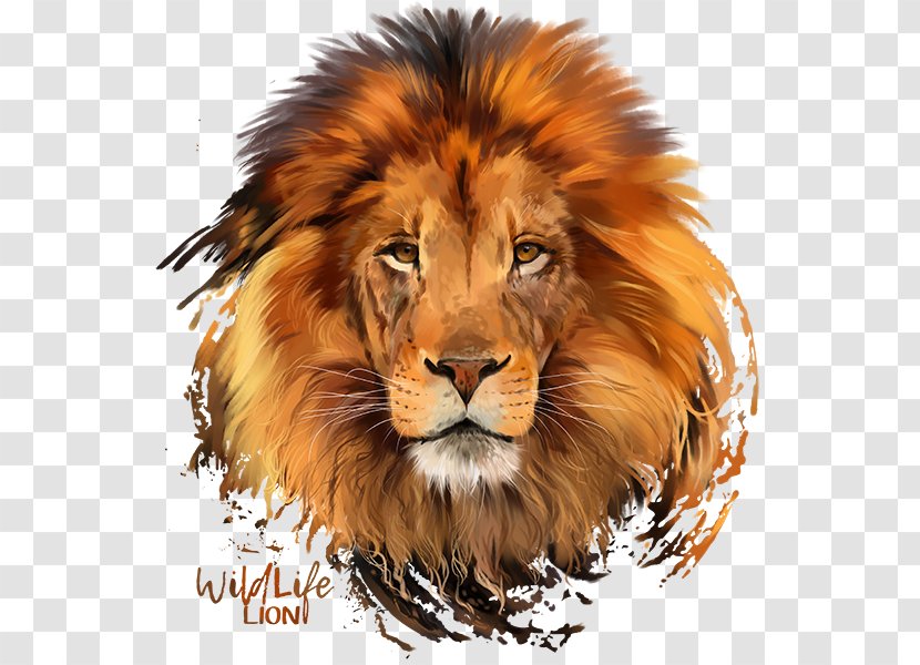 Lion Plakat Naukowy Poster T-shirt - Carnivoran Transparent PNG