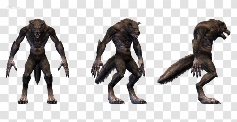The Elder Scrolls Online V: Skyrim ZeniMax Studios Video Game - Werewolf Transparent PNG