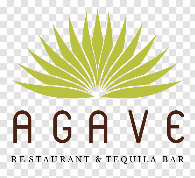 Agave Nectar Azul Tequila Logo - Text Transparent PNG