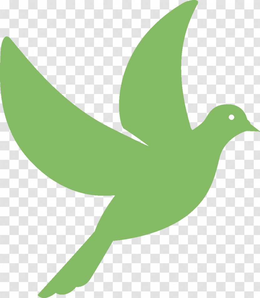 Duck Company The University Of Chicago Booth School Business Water Bird Profit - Green - Privately Held Transparent PNG