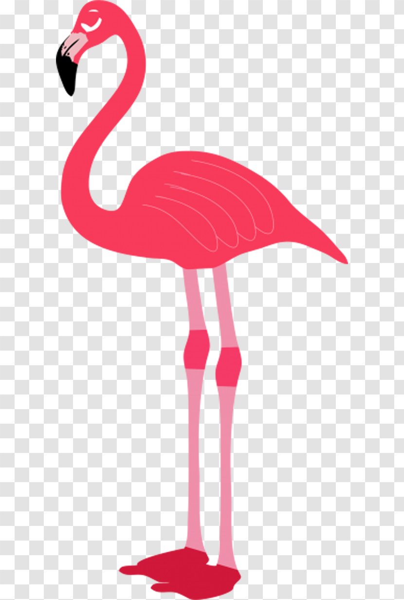 Flamingo Clip Art - Windows Metafile - Pink Flamingos Transparent PNG