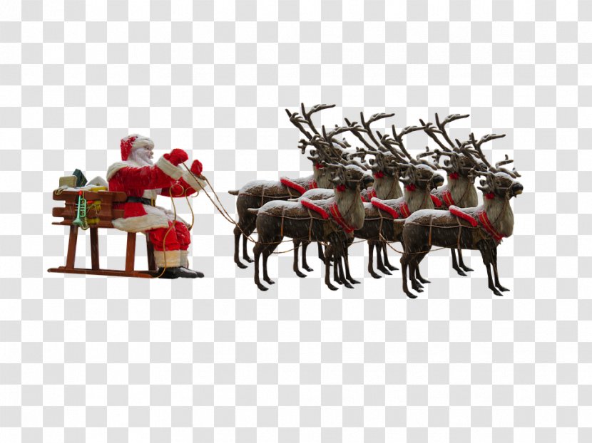 Santa Claus Reindeer Christmas - Sled - A Group Of Deer Pulling Transparent PNG