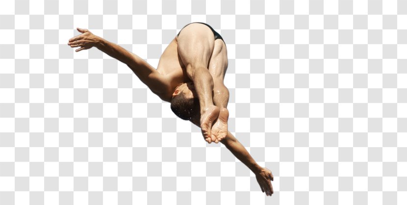 Diving Physical Fitness Athlete Average Power - Joint - Professional Transparent PNG