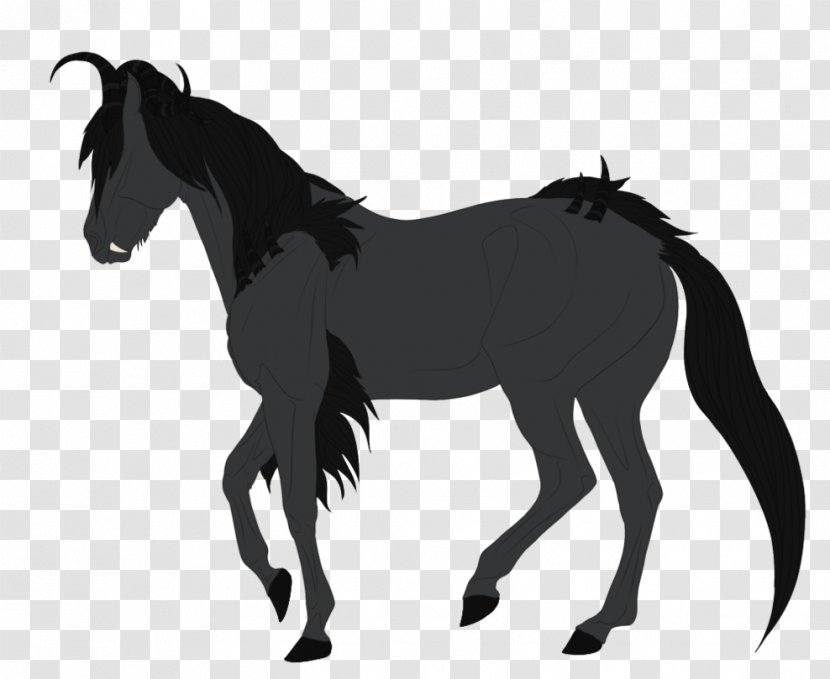 Foal Mare Mane Mustang Stallion - Horse Supplies Transparent PNG