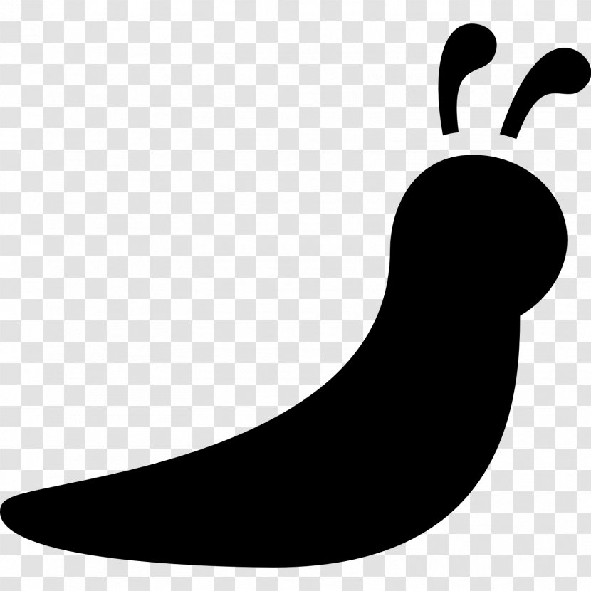 The Slug - Artwork Transparent PNG