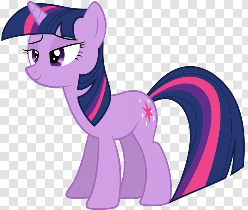 Twilight Sparkle Rainbow Dash Rarity Pinkie Pie Pony - My Little Transparent PNG