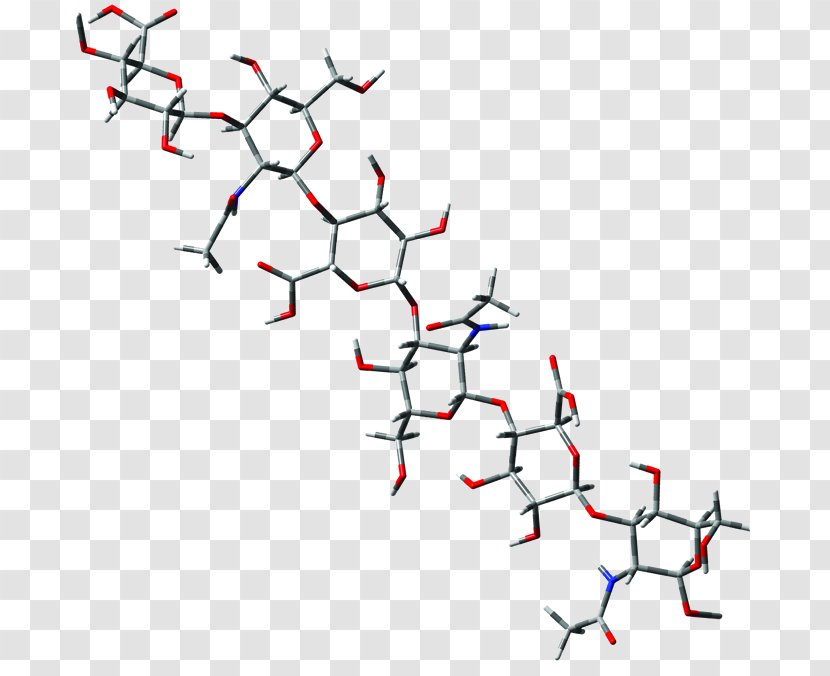 Matrix Biology Polysaccharide Cell Function - Point - Biological Medicine Transparent PNG