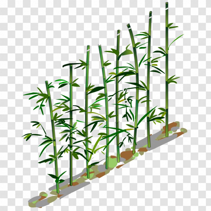 Drawing Educational Game Plant - Plantes Transparent PNG