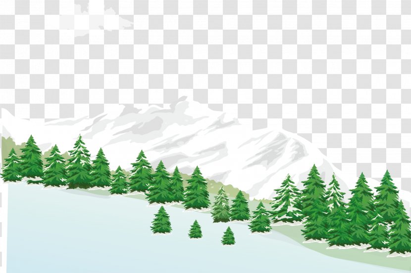 Snowboarding Winter Sport Illustration - Drawing - Vector Snowy Transparent PNG
