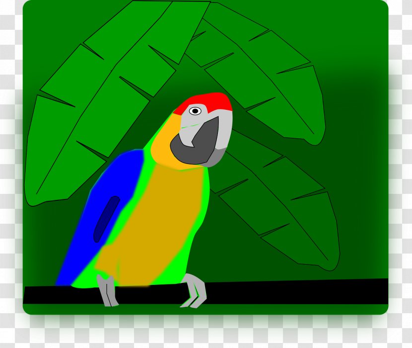 Macaw Parrot Bird - Wing Transparent PNG