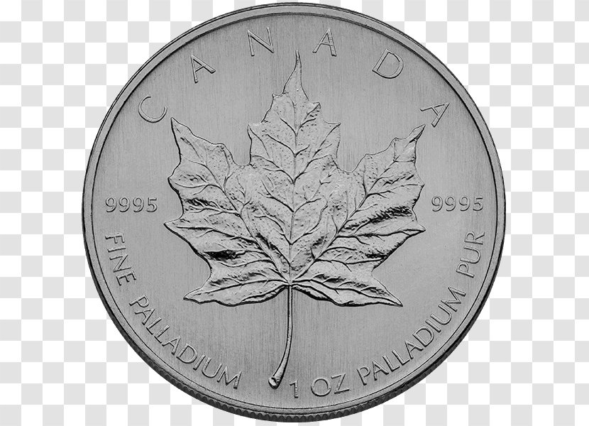 Coin Silver Leaf - Metal Transparent PNG